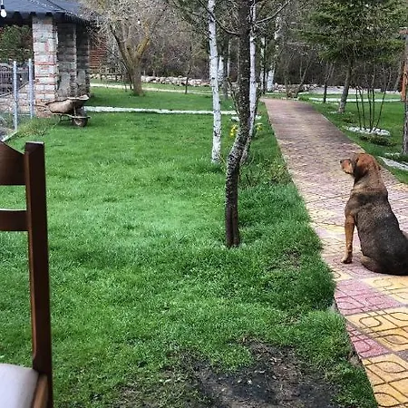 Vendégház Gioia 3*