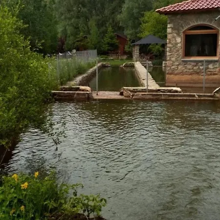 Gioia 게스트하우스